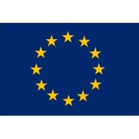 EUROOPAN UNIONIN LIPPU, 30 x 45 cm.